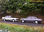 5051431.jpg